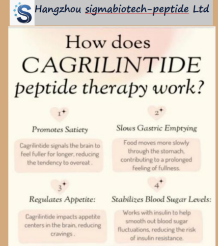 Cagrilintide Peptide Guide
