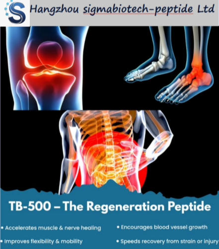TB-500 Peptide Guide