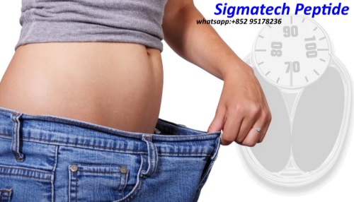 Weight Loss: Finding the Right Approach for You